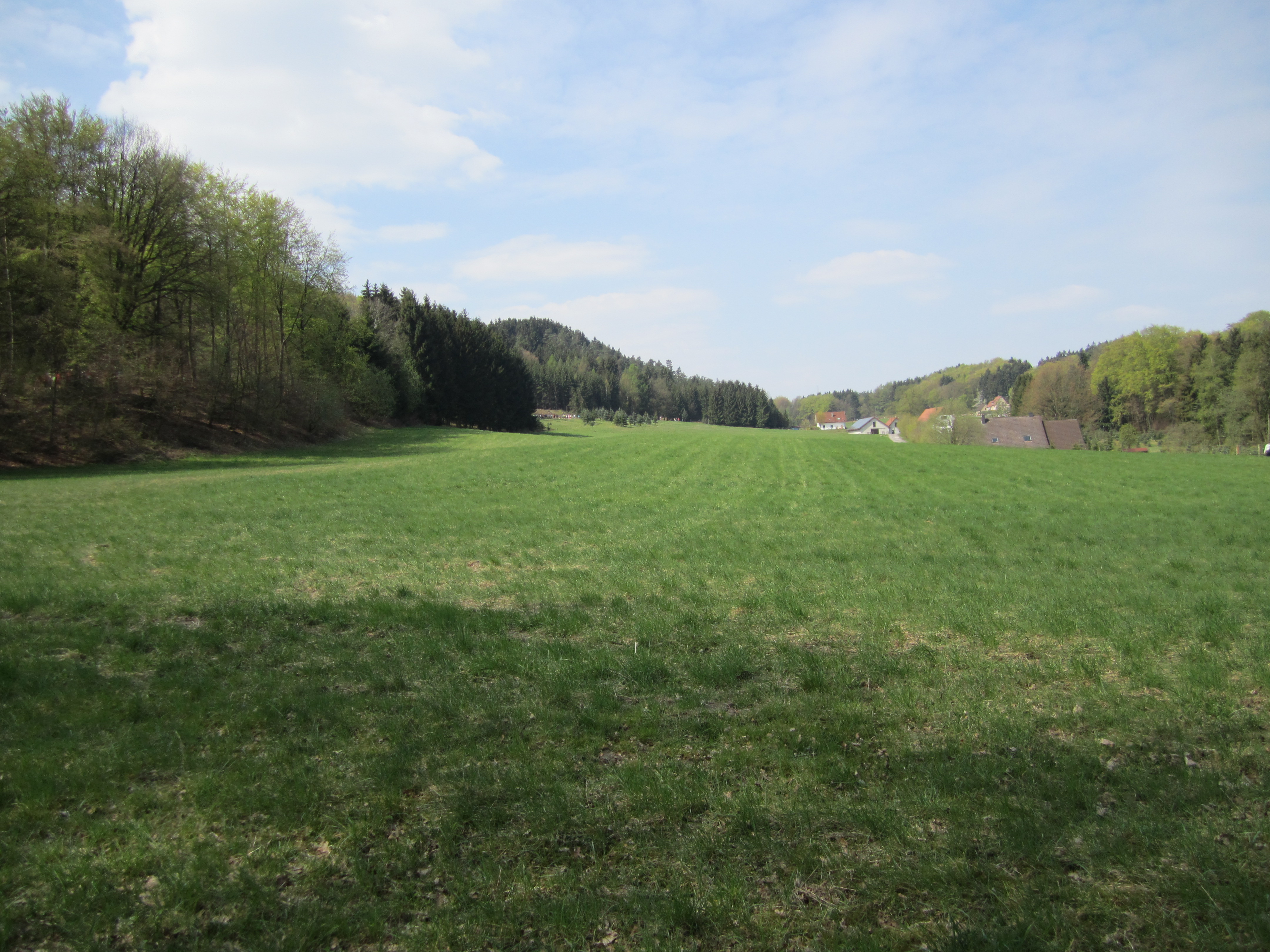 Hermannslauf6